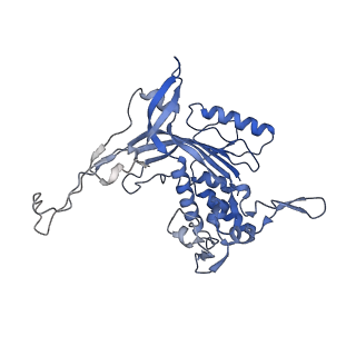 14244_7r21_S_v1-0
elongated Cascade complex from type I-A CRISPR-Cas system