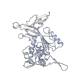 14244_7r21_T_v1-0
elongated Cascade complex from type I-A CRISPR-Cas system