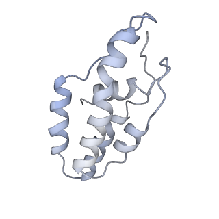 14245_7r2k_C_v1-0
elongated Cascade complex from type I-A CRISPR-Cas system
