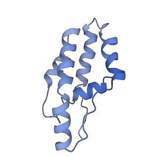 14245_7r2k_F_v1-0
elongated Cascade complex from type I-A CRISPR-Cas system
