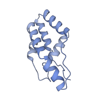 14245_7r2k_G_v1-0
elongated Cascade complex from type I-A CRISPR-Cas system