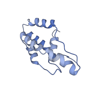 14245_7r2k_H_v1-0
elongated Cascade complex from type I-A CRISPR-Cas system