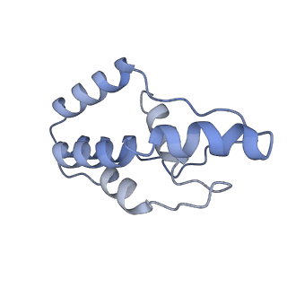 14245_7r2k_I_v1-0
elongated Cascade complex from type I-A CRISPR-Cas system