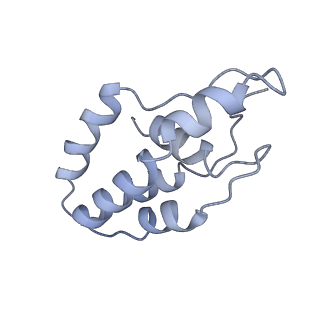 14245_7r2k_J_v1-0
elongated Cascade complex from type I-A CRISPR-Cas system