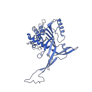 14245_7r2k_K_v1-0
elongated Cascade complex from type I-A CRISPR-Cas system