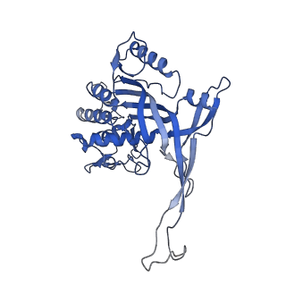 14245_7r2k_L_v1-0
elongated Cascade complex from type I-A CRISPR-Cas system