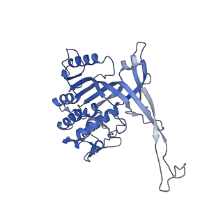 14245_7r2k_M_v1-0
elongated Cascade complex from type I-A CRISPR-Cas system