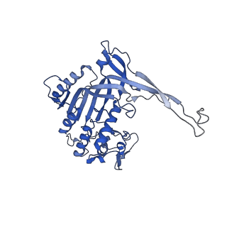 14245_7r2k_N_v1-0
elongated Cascade complex from type I-A CRISPR-Cas system