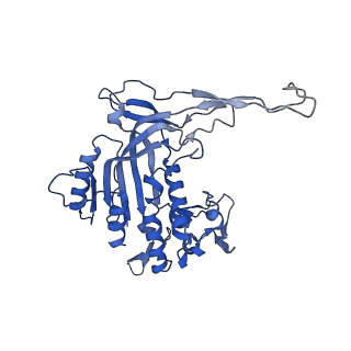 14245_7r2k_O_v1-0
elongated Cascade complex from type I-A CRISPR-Cas system