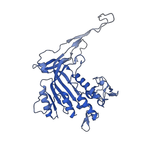 14245_7r2k_P_v1-0
elongated Cascade complex from type I-A CRISPR-Cas system