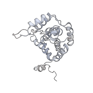 14245_7r2k_Q_v1-0
elongated Cascade complex from type I-A CRISPR-Cas system