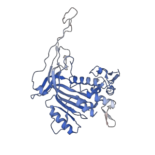 14245_7r2k_R_v1-0
elongated Cascade complex from type I-A CRISPR-Cas system