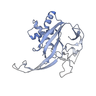 14245_7r2k_S_v1-0
elongated Cascade complex from type I-A CRISPR-Cas system