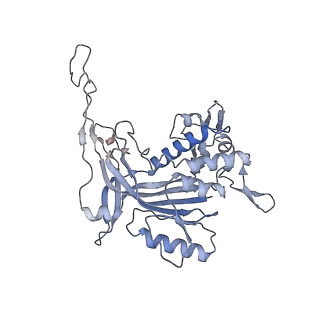 14245_7r2k_T_v1-0
elongated Cascade complex from type I-A CRISPR-Cas system