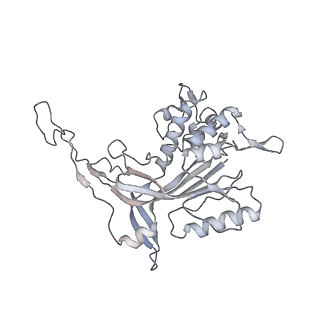 14245_7r2k_V_v1-0
elongated Cascade complex from type I-A CRISPR-Cas system