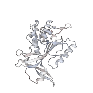 14245_7r2k_W_v1-0
elongated Cascade complex from type I-A CRISPR-Cas system