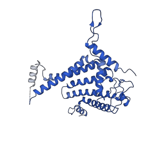 18848_8r2i_A_v1-0
Cryo-EM Structure of native Photosystem II assembly intermediate from Chlamydomonas reinhardtii