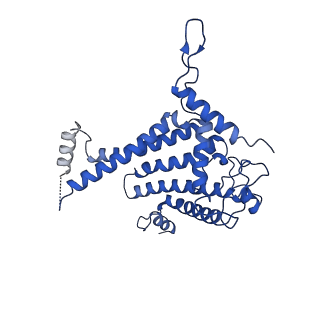 18848_8r2i_A_v1-1
Cryo-EM Structure of native Photosystem II assembly intermediate from Chlamydomonas reinhardtii