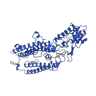 18848_8r2i_B_v1-0
Cryo-EM Structure of native Photosystem II assembly intermediate from Chlamydomonas reinhardtii