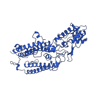 18848_8r2i_B_v1-1
Cryo-EM Structure of native Photosystem II assembly intermediate from Chlamydomonas reinhardtii