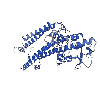 18848_8r2i_C_v1-0
Cryo-EM Structure of native Photosystem II assembly intermediate from Chlamydomonas reinhardtii