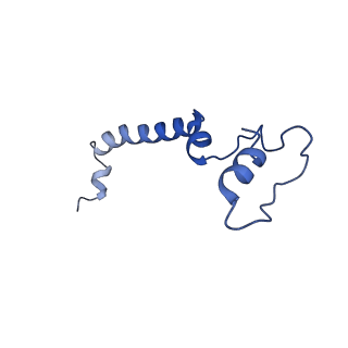 18848_8r2i_E_v1-1
Cryo-EM Structure of native Photosystem II assembly intermediate from Chlamydomonas reinhardtii