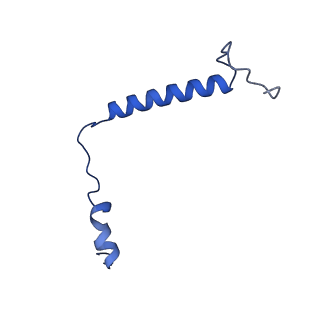 18848_8r2i_H_v1-1
Cryo-EM Structure of native Photosystem II assembly intermediate from Chlamydomonas reinhardtii