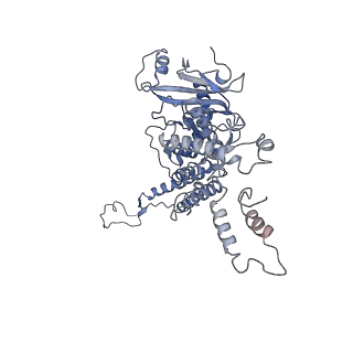 4706_6r21_A_v1-0
Cryo-EM structure of T7 bacteriophage fiberless tail complex