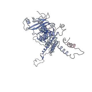 4706_6r21_B_v1-0
Cryo-EM structure of T7 bacteriophage fiberless tail complex