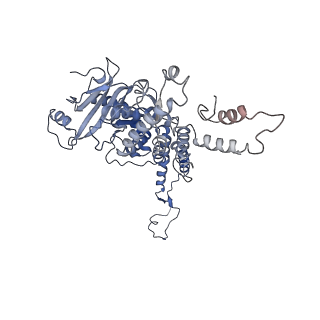 4706_6r21_C_v1-0
Cryo-EM structure of T7 bacteriophage fiberless tail complex