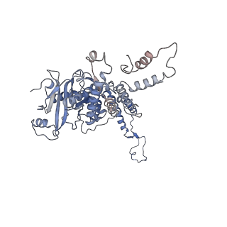 4706_6r21_D_v1-0
Cryo-EM structure of T7 bacteriophage fiberless tail complex
