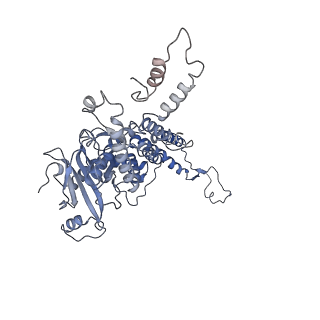 4706_6r21_E_v1-0
Cryo-EM structure of T7 bacteriophage fiberless tail complex
