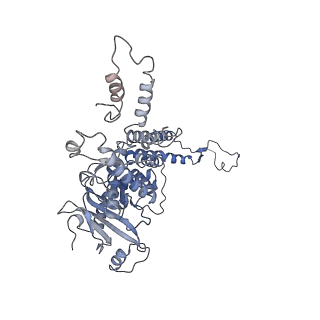4706_6r21_F_v1-0
Cryo-EM structure of T7 bacteriophage fiberless tail complex