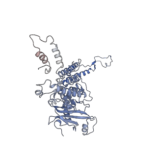 4706_6r21_G_v1-0
Cryo-EM structure of T7 bacteriophage fiberless tail complex