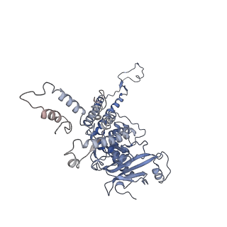 4706_6r21_H_v1-0
Cryo-EM structure of T7 bacteriophage fiberless tail complex