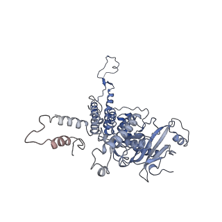 4706_6r21_I_v1-0
Cryo-EM structure of T7 bacteriophage fiberless tail complex