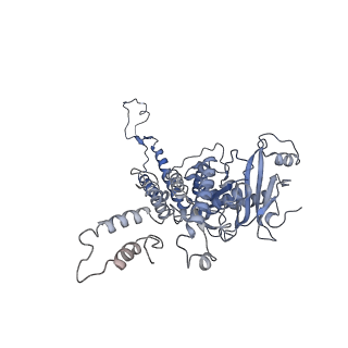 4706_6r21_J_v1-0
Cryo-EM structure of T7 bacteriophage fiberless tail complex
