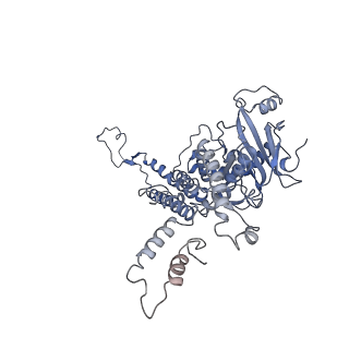 4706_6r21_K_v1-0
Cryo-EM structure of T7 bacteriophage fiberless tail complex