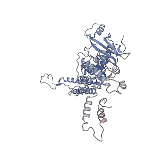 4706_6r21_L_v1-0
Cryo-EM structure of T7 bacteriophage fiberless tail complex
