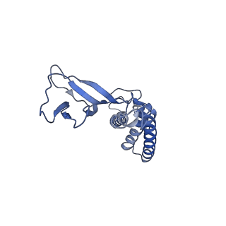 4706_6r21_M_v1-0
Cryo-EM structure of T7 bacteriophage fiberless tail complex