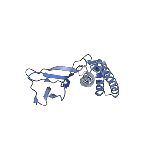 4706_6r21_N_v1-0
Cryo-EM structure of T7 bacteriophage fiberless tail complex