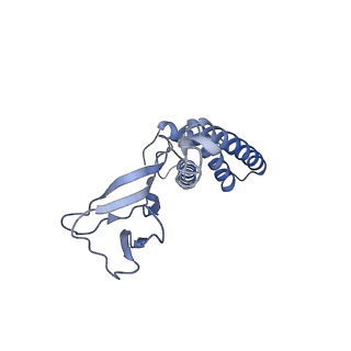 4706_6r21_O_v1-0
Cryo-EM structure of T7 bacteriophage fiberless tail complex