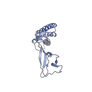 4706_6r21_Q_v1-0
Cryo-EM structure of T7 bacteriophage fiberless tail complex