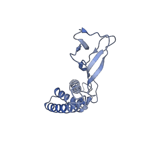 4706_6r21_V_v1-0
Cryo-EM structure of T7 bacteriophage fiberless tail complex