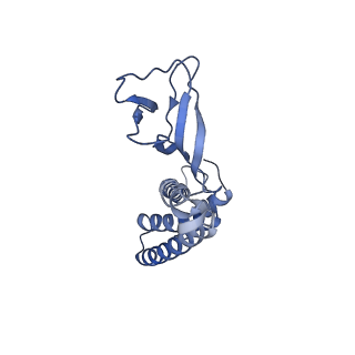 4706_6r21_W_v1-0
Cryo-EM structure of T7 bacteriophage fiberless tail complex
