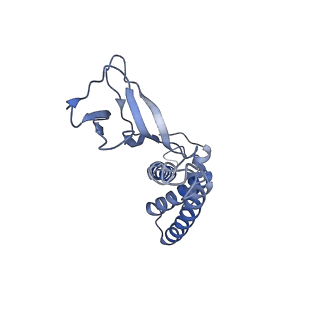4706_6r21_X_v1-0
Cryo-EM structure of T7 bacteriophage fiberless tail complex