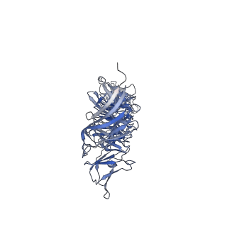 4706_6r21_a_v1-0
Cryo-EM structure of T7 bacteriophage fiberless tail complex