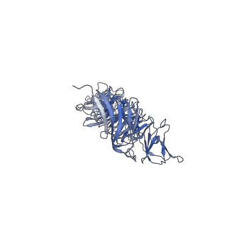 4706_6r21_c_v1-0
Cryo-EM structure of T7 bacteriophage fiberless tail complex