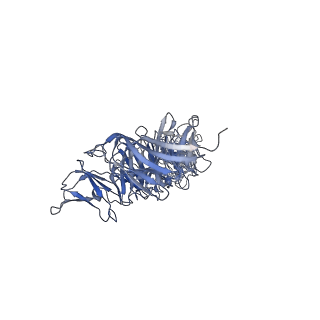 4706_6r21_f_v1-0
Cryo-EM structure of T7 bacteriophage fiberless tail complex