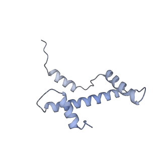 4710_6r25_A_v1-0
Structure of LSD2/NPAC-linker/nucleosome core particle complex: Class 3